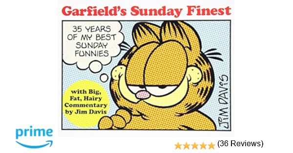Garfield Fat Cat 3Pack 19